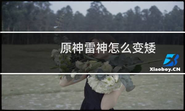 原神雷神怎么变矮