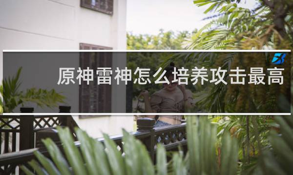 原神雷神怎么培养攻击最高