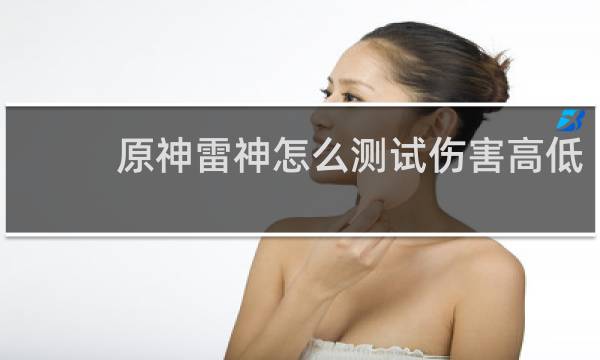 原神雷神怎么测试伤害高低