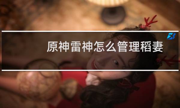 原神雷神怎么管理稻妻