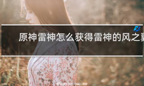 原神雷神怎么获得雷神的风之翼