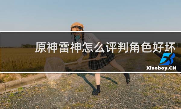 原神雷神怎么评判角色好坏