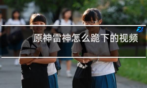 原神雷神怎么跪下的视频