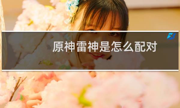 原神雷神是怎么配对