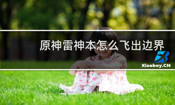 原神雷神本怎么飞出边界