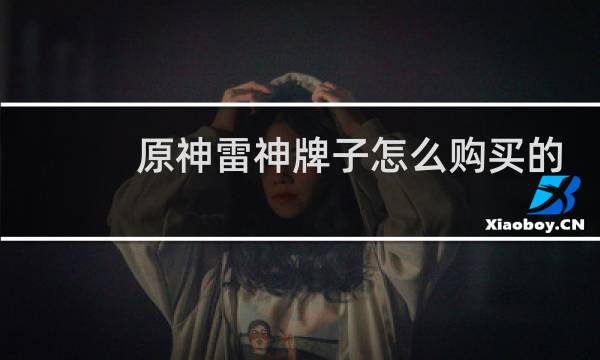 原神雷神牌子怎么购买的