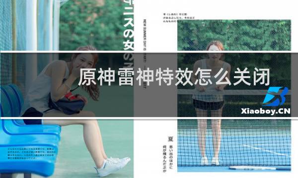 原神雷神特效怎么关闭