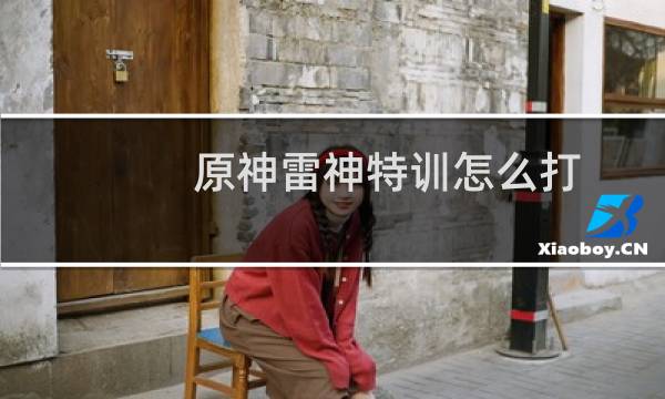 原神雷神特训怎么打