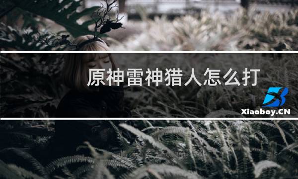 原神雷神猎人怎么打