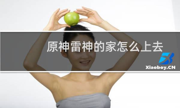 原神雷神的家怎么上去