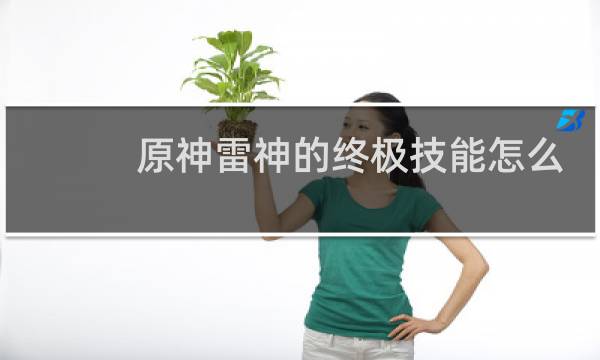 原神雷神的终极技能怎么