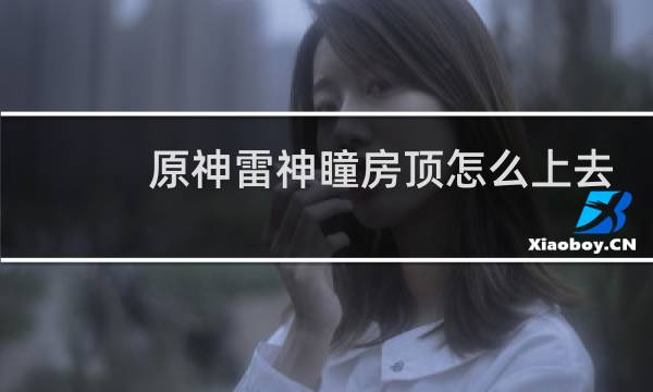原神雷神瞳房顶怎么上去