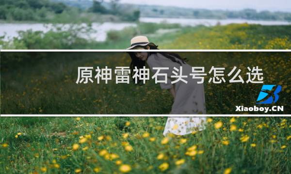 原神雷神石头号怎么选