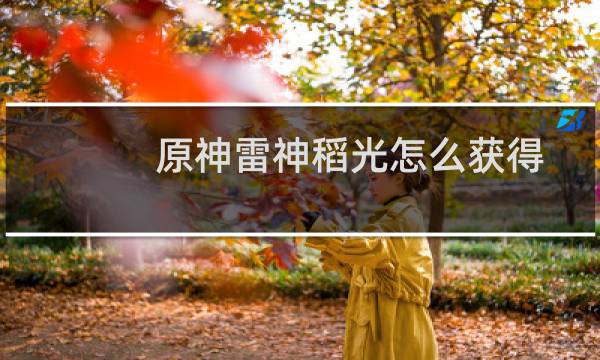 原神雷神稻光怎么获得