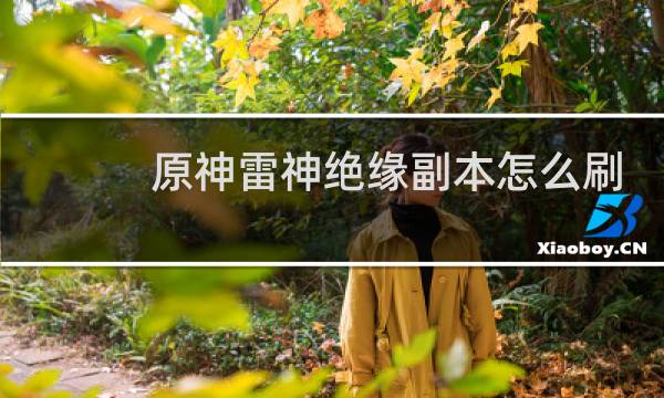 原神雷神绝缘副本怎么刷