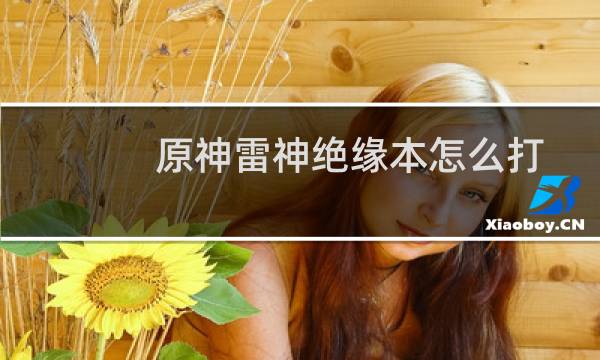 原神雷神绝缘本怎么打