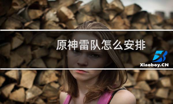 原神雷队怎么安排