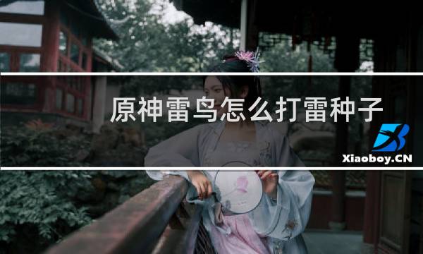 原神雷鸟怎么打雷种子