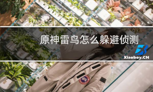 原神雷鸟怎么躲避侦测