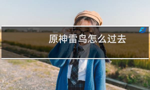 原神雷鸟怎么过去