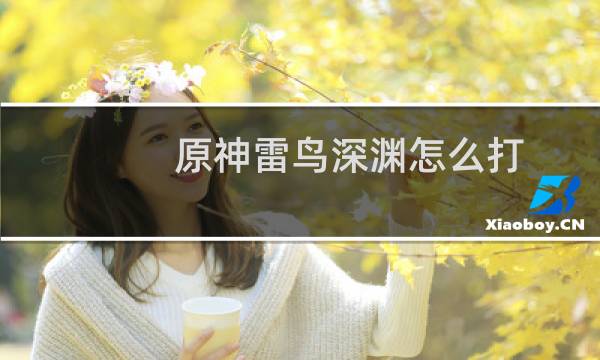 原神雷鸟深渊怎么打