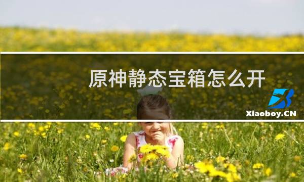 原神静态宝箱怎么开