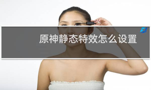 原神静态特效怎么设置