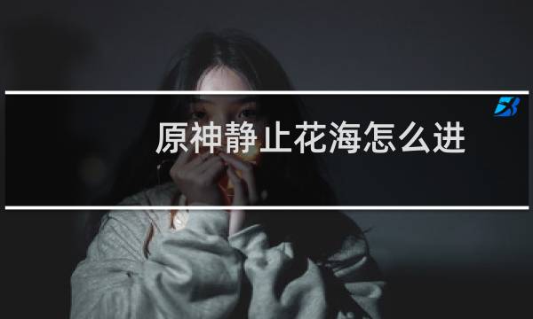 原神静止花海怎么进