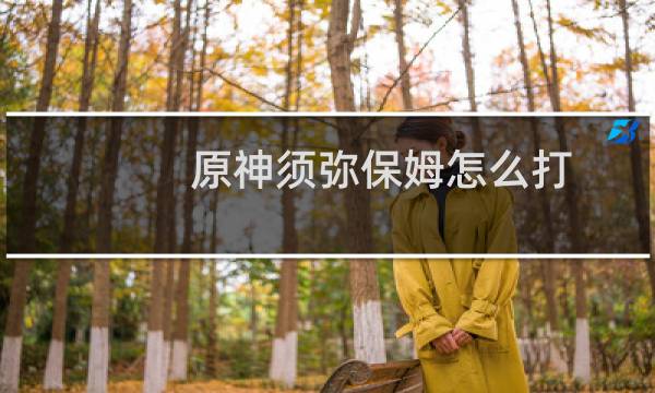 原神须弥保姆怎么打