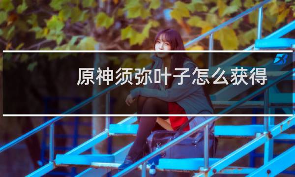 原神须弥叶子怎么获得