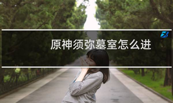 原神须弥墓室怎么进