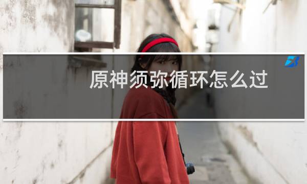 原神须弥循环怎么过