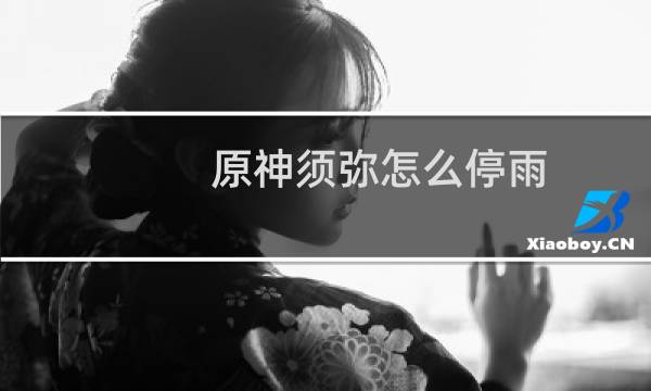 原神须弥怎么停雨