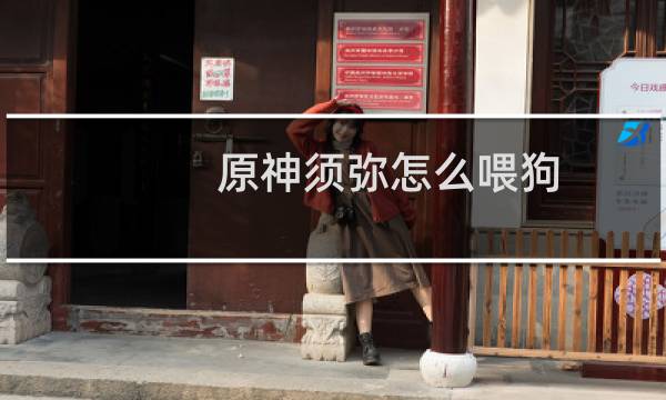 原神须弥怎么喂狗