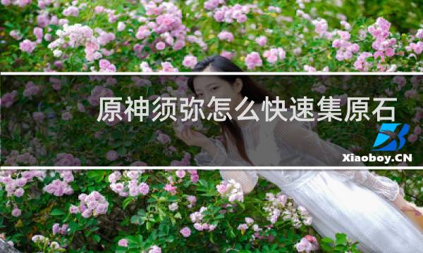 原神须弥怎么快速集原石
