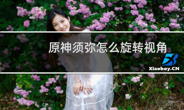 原神须弥怎么旋转视角