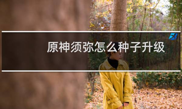 原神须弥怎么种子升级