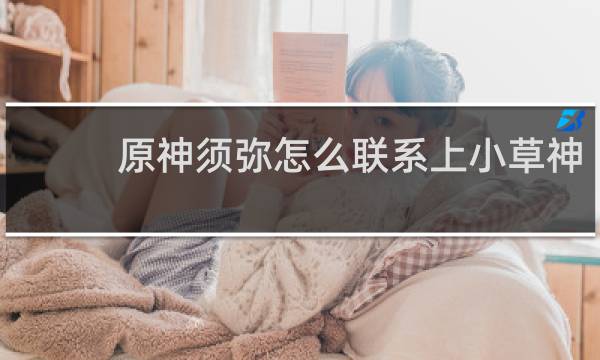 原神须弥怎么联系上小草神