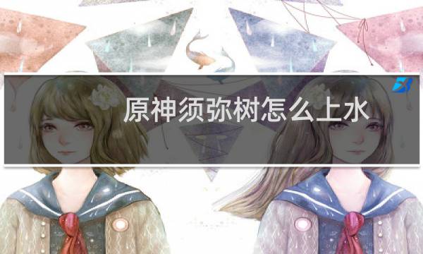 原神须弥树怎么上水