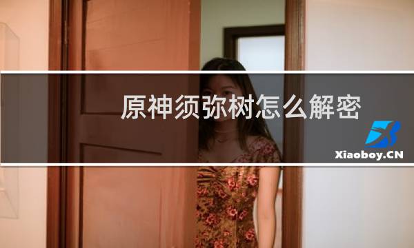 原神须弥树怎么解密
