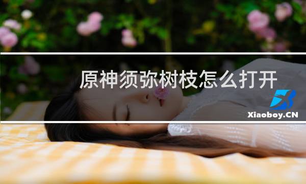 原神须弥树枝怎么打开