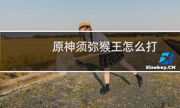 原神须弥猴王怎么打