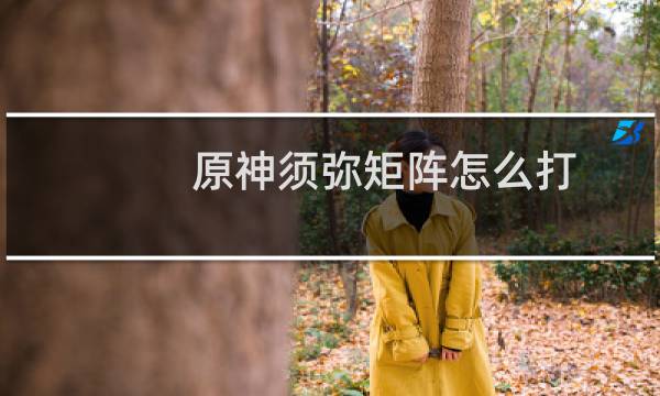 原神须弥矩阵怎么打