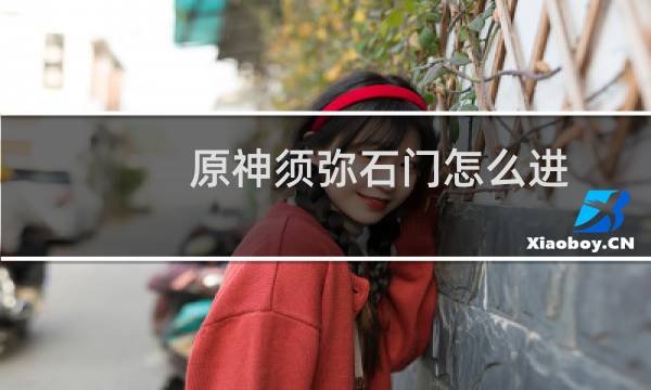 原神须弥石门怎么进