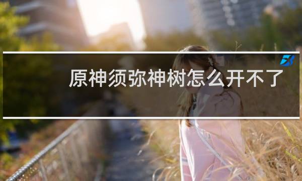原神须弥神树怎么开不了