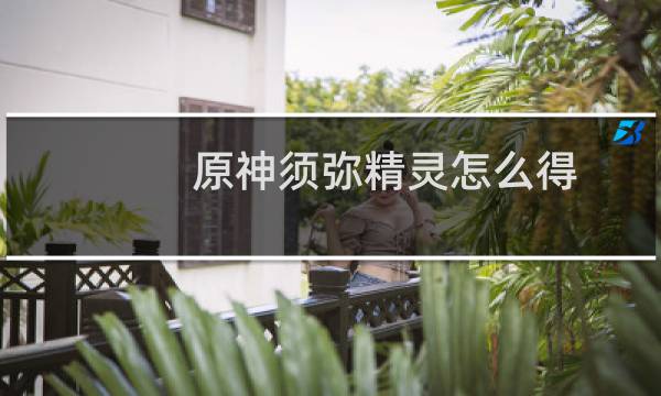 原神须弥精灵怎么得