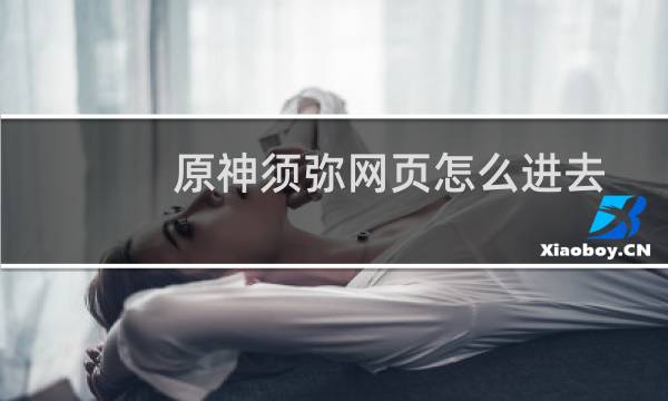 原神须弥网页怎么进去