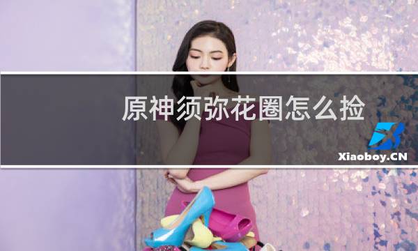 原神须弥花圈怎么捡