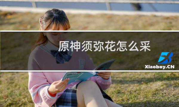 原神须弥花怎么采
