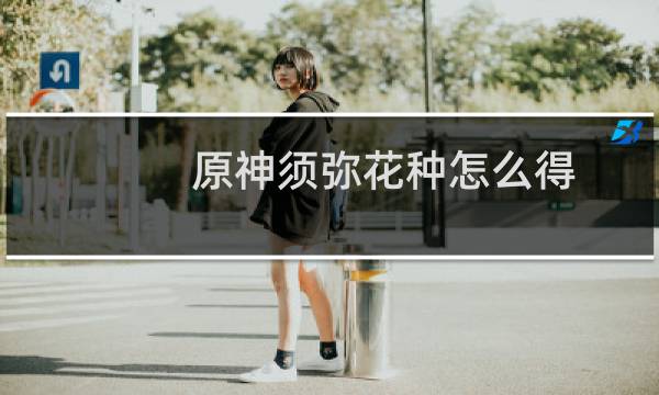 原神须弥花种怎么得